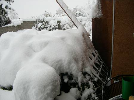 Mermaid after Big Snow