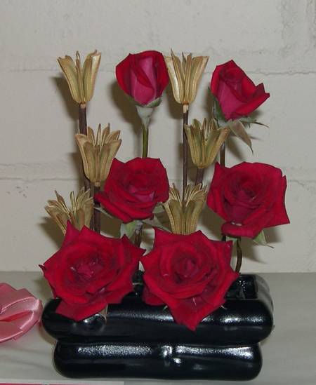 Rose - Miss Flippins