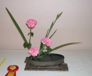 Oriental Award, Tucson Rose Show, April 14, 2007