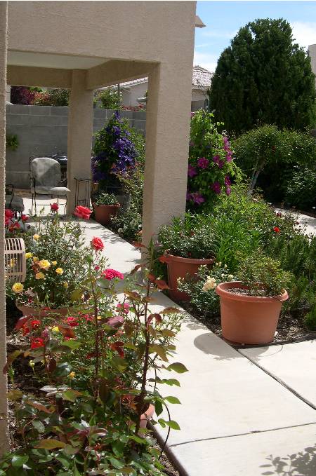 Private Garden, Albuquerque