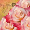 rose calendar cover and January
